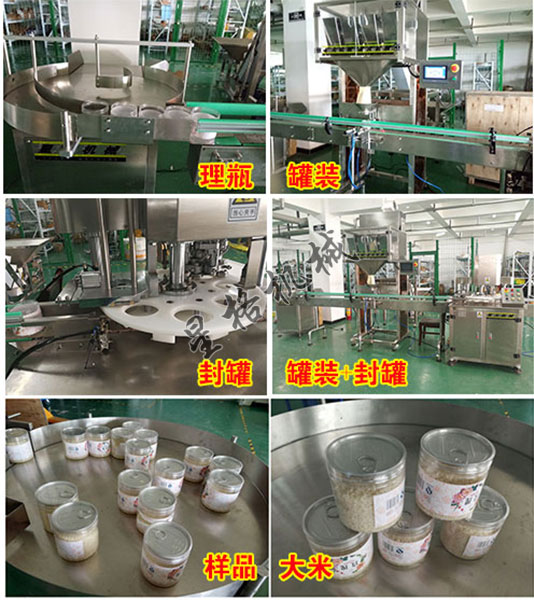 杂粮颗粒罐装包装机(图3)
